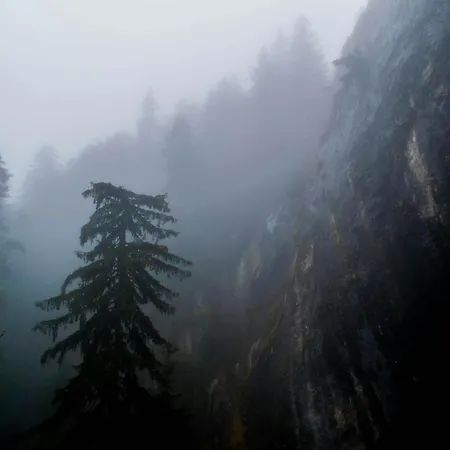 דירה Vip House Glavatarski גלבטרצי