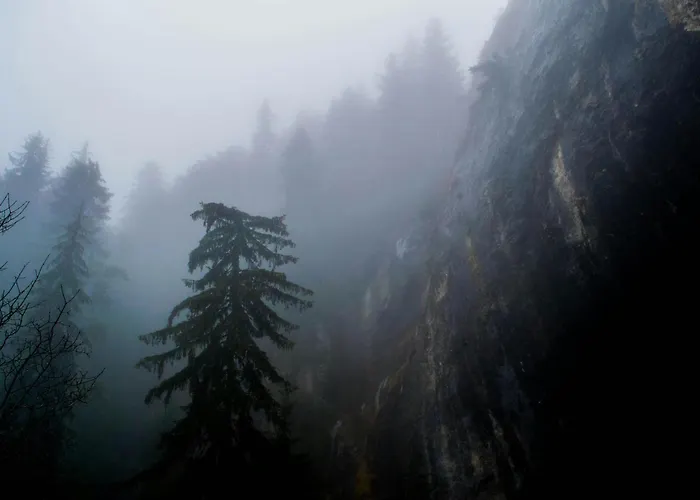 Apartament Vip House Glavatarski Glavatartsi